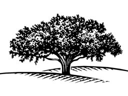 Tree Logo